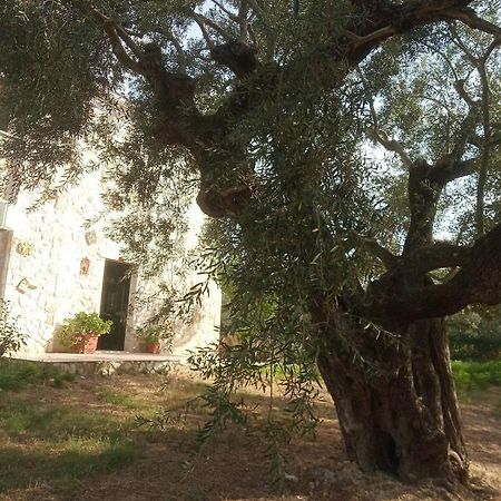 Villa Olive Trees Tragaki Esterno foto