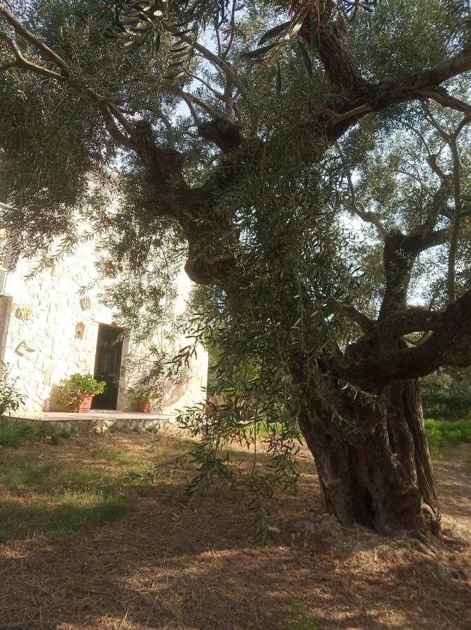 Villa Olive Trees Tragaki Esterno foto