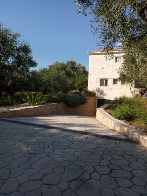 Villa Olive Trees Tragaki Esterno foto